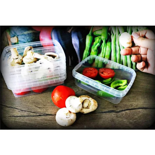 ظرف نگهدارنده مدل AS 760 مجموعه 20 عددی