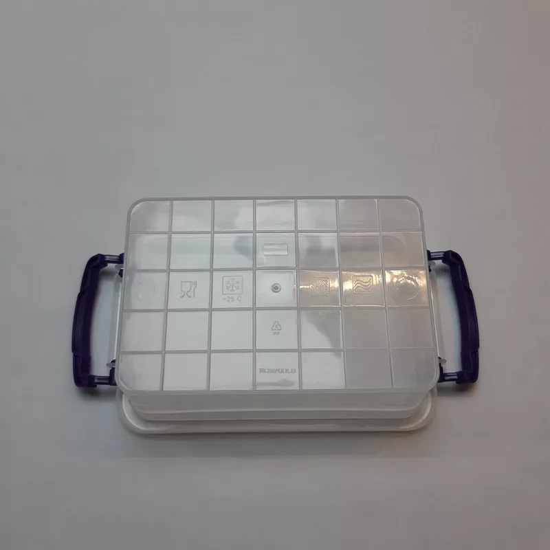 ظرف نگهدارنده رزگلد مدل فریزری قفلی 1 بسته 8 عددی