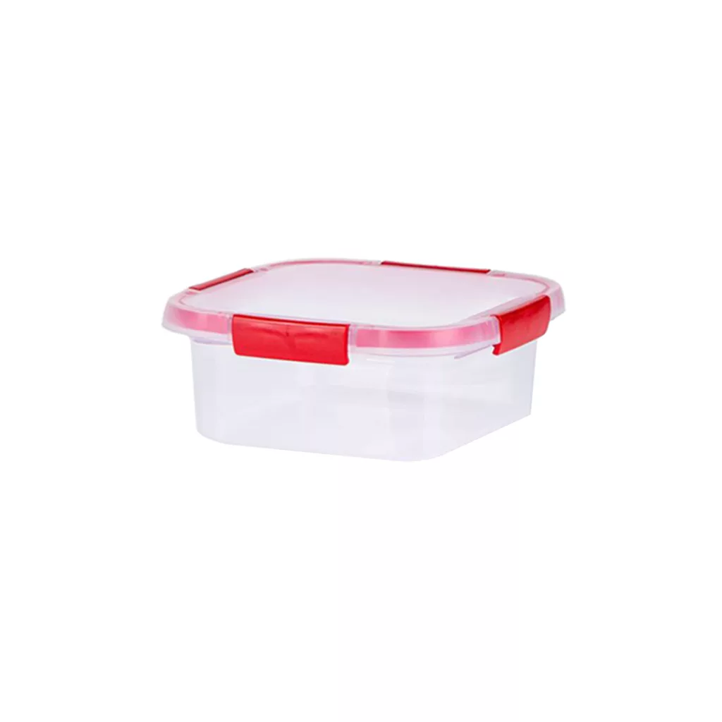 ظرف نگهدارنده زیبا مدل گاپانا کد DH750