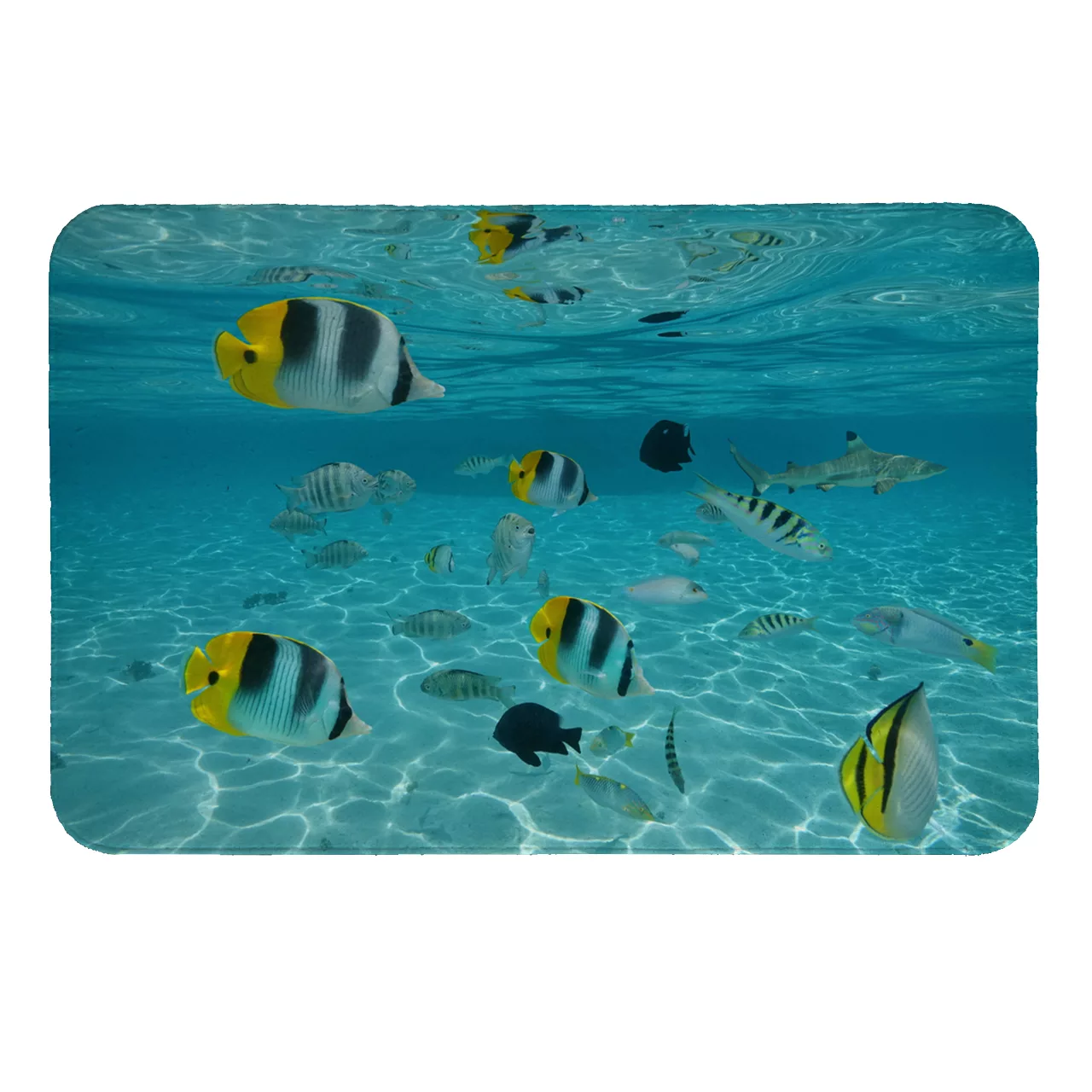 پادری طرح دریا کد 6147 سایز 80 × 50 سانتی متر