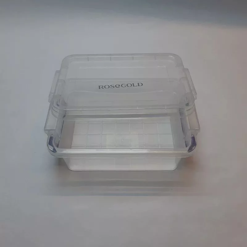 ظرف نگهدارنده رزگلد مدل فریزری قفلی 2 بسته 6 عددی