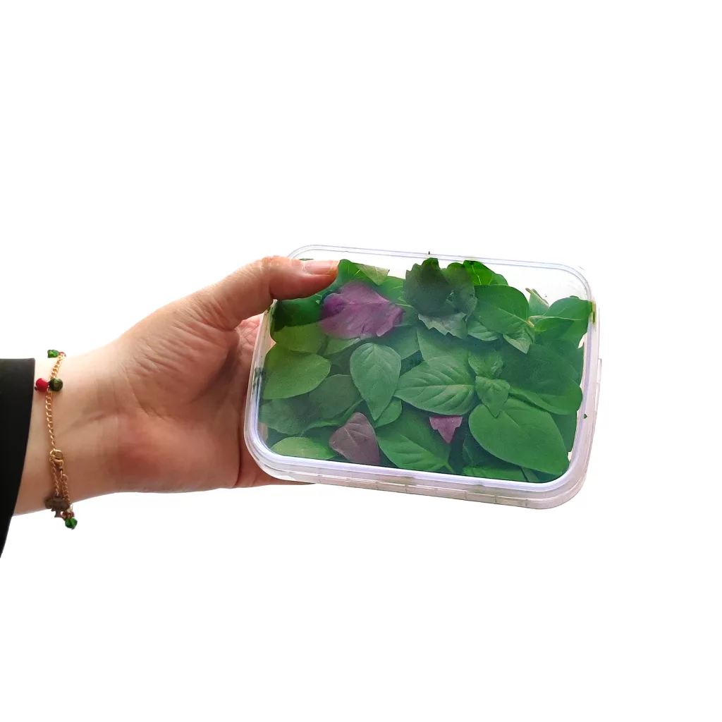 ظرف نگهدارنده مدل AP4003