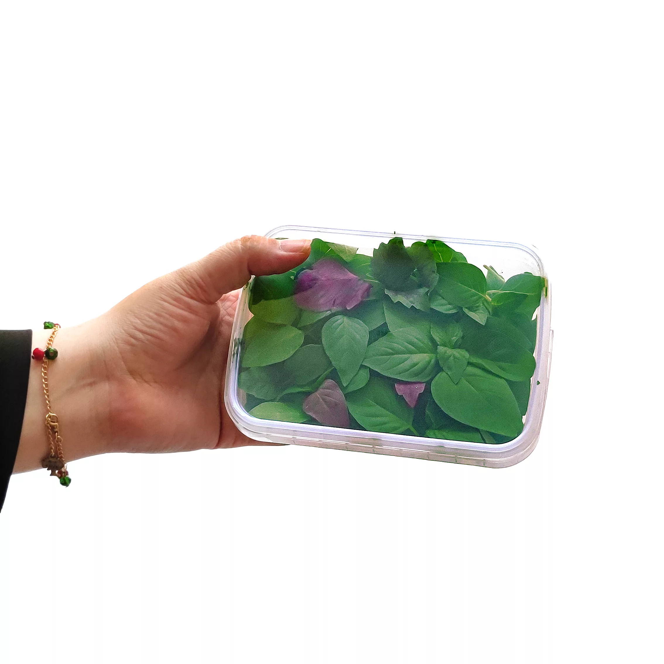 ظرف نگهدارنده مدل AP4003