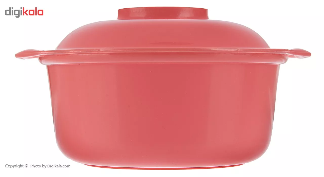 ظرف نگهدارنده غذا یزدگل کد 153