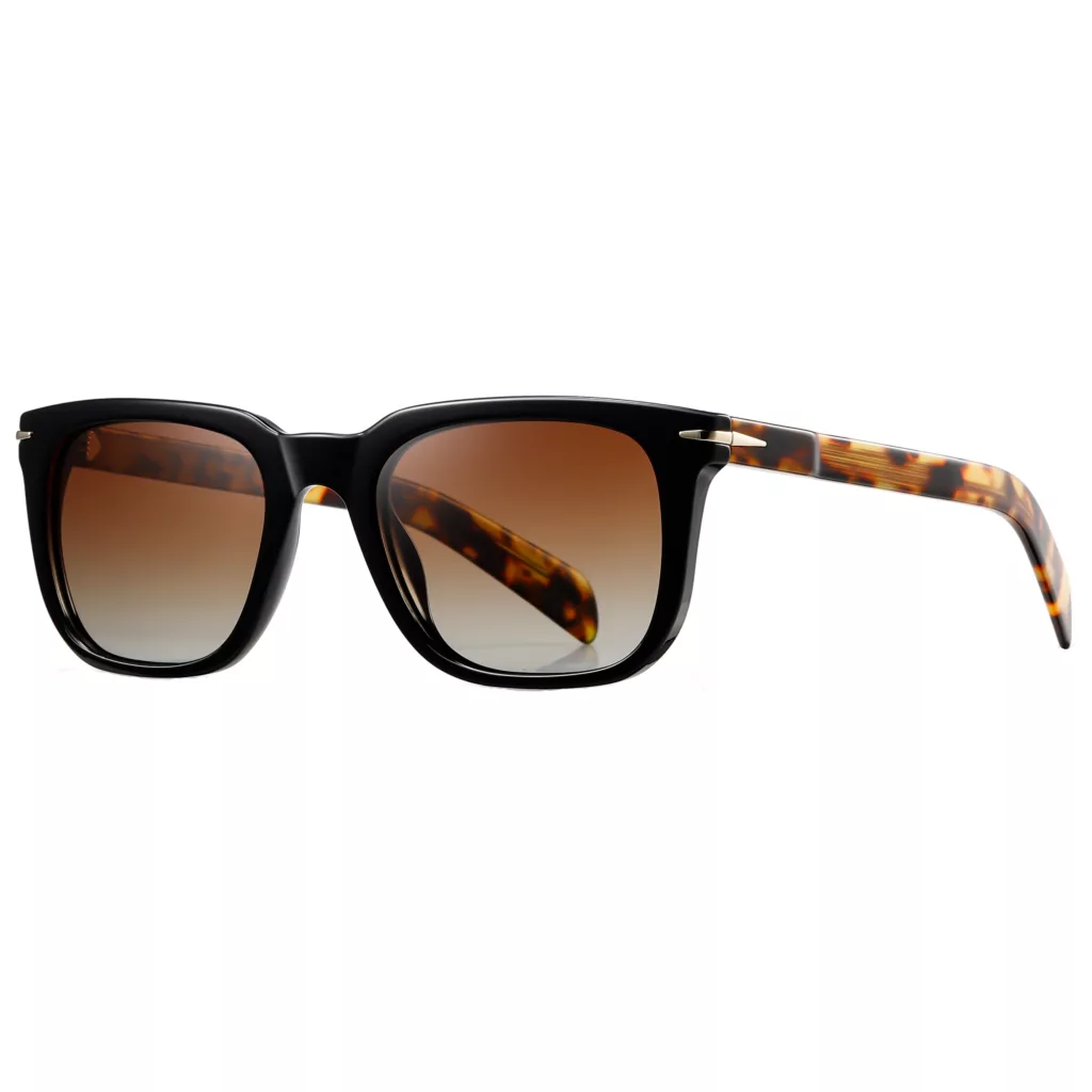 عینک آفتابی ویفرر (Wayfarer) آلبرت وگ مدل S31127C3 Acetate Avantgarde Visionary