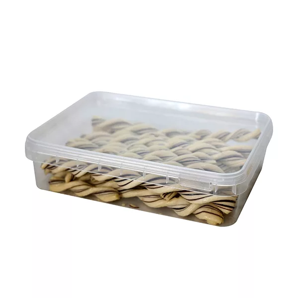 ظرف نگهدارنده مدل Himaliya 01  کد 666