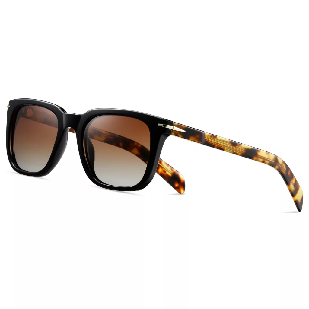 عینک آفتابی ویفرر (Wayfarer) آلبرت وگ مدل S31127C3 Acetate Avantgarde Visionary