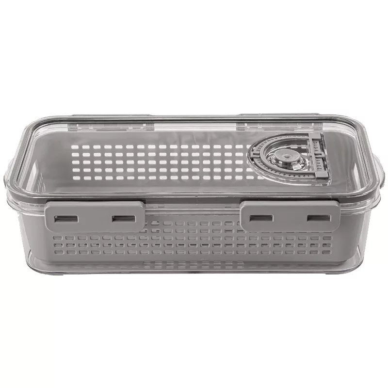 ظرف نگهدارنده لیمون مدل تاریخ دار کد DH2377