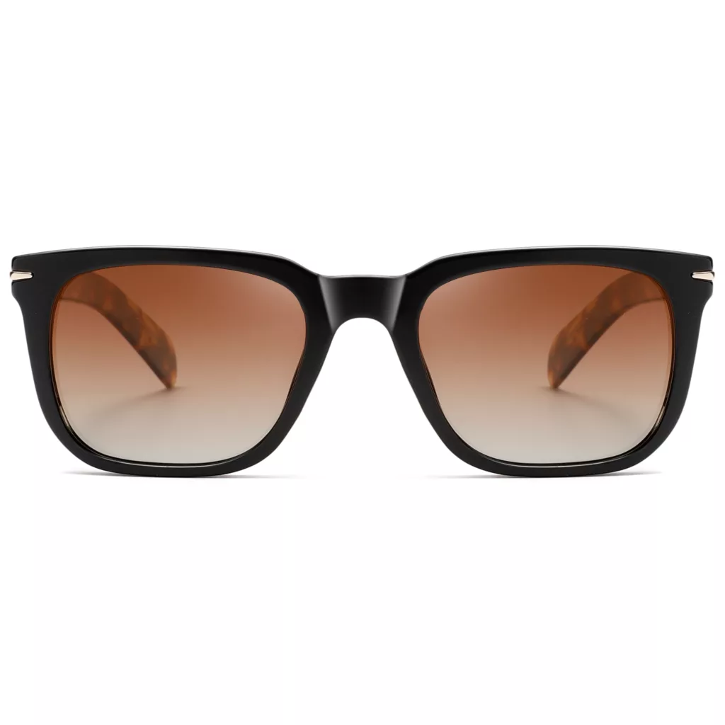 عینک آفتابی ویفرر (Wayfarer) آلبرت وگ مدل S31127C3 Acetate Avantgarde Visionary