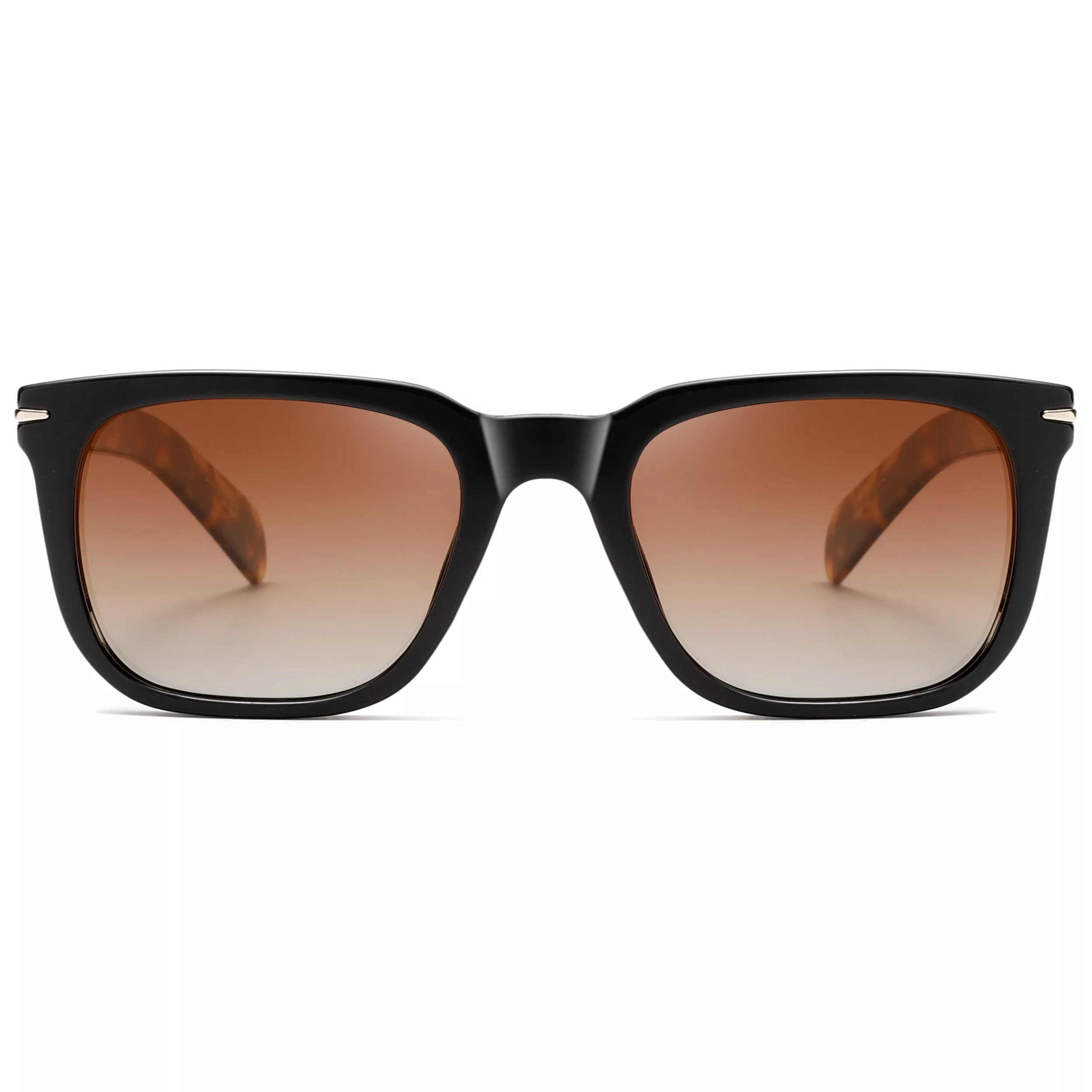 عینک آفتابی ویفرر (Wayfarer) آلبرت وگ مدل S31127C3 Acetate Avantgarde Visionary