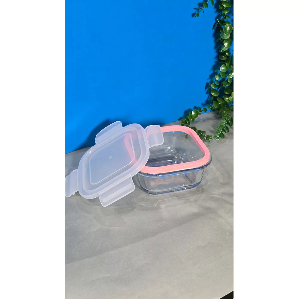 ظرف نگهدارنده مدل ماکسیم