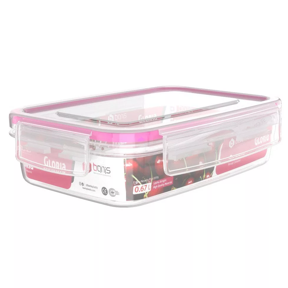 ظرف فریزری بانیس مدل چهارقفل کد 0.67