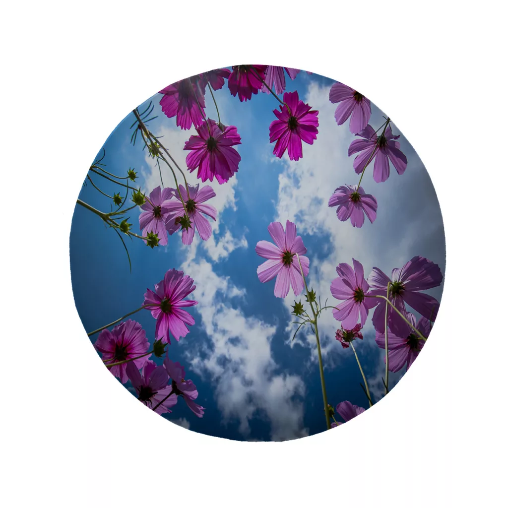 پادری مدل دایره طرح گل کد 5594 سایز 90 × 90 سانتی متر