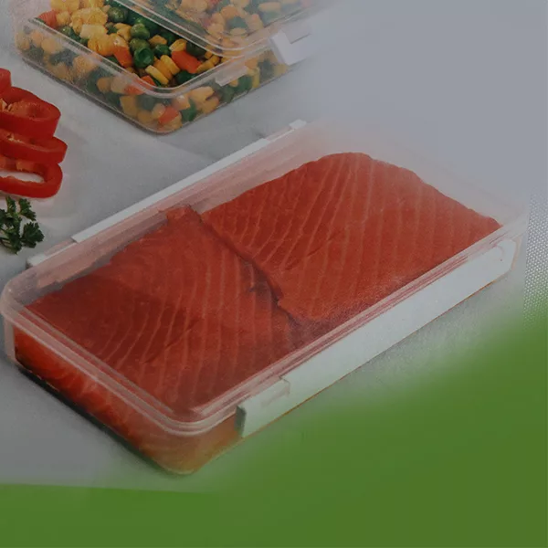 ظرف نگهدارنده لیمون مدل edl 230 کد 48