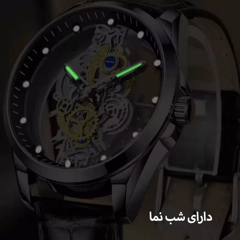 ساعت مچی عقربه‌ای مردانه مکانیکی مدل DX-103 PLUS