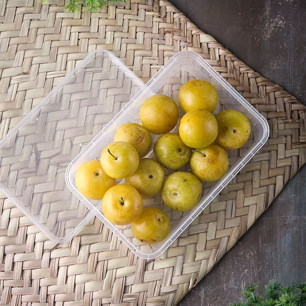 ظرف نگهدارنده مدل فریزری نظم دهنده کد 760cc مجموعه 10 عددی