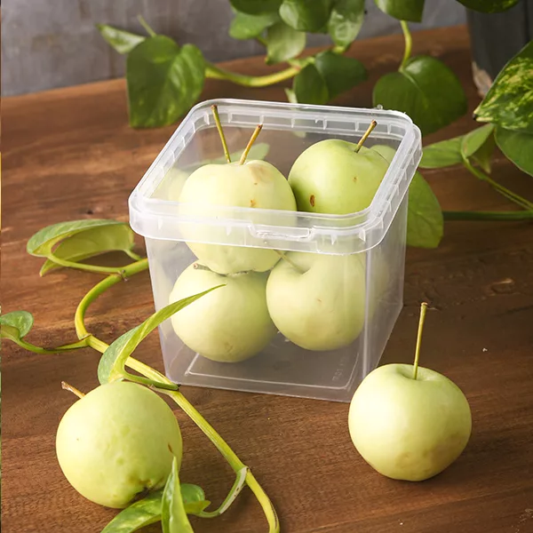 ظرف نگهدارنده مدل فریزری کد 520cc مجموعه 9 عددی