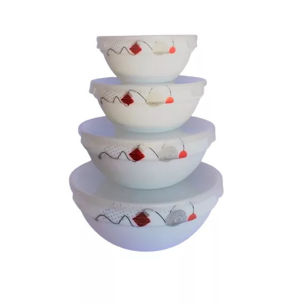 ظرف نگهدارنده مدل sw-4 مجموعه 4 عددی