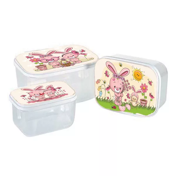 ظرف نگهدارنده زیبا مدل مستطیلی کد 6 مجموعه 3 عددی