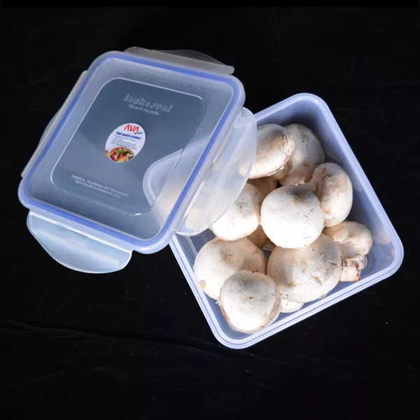 ظرف نگهدارنده آوا ور مدل as172