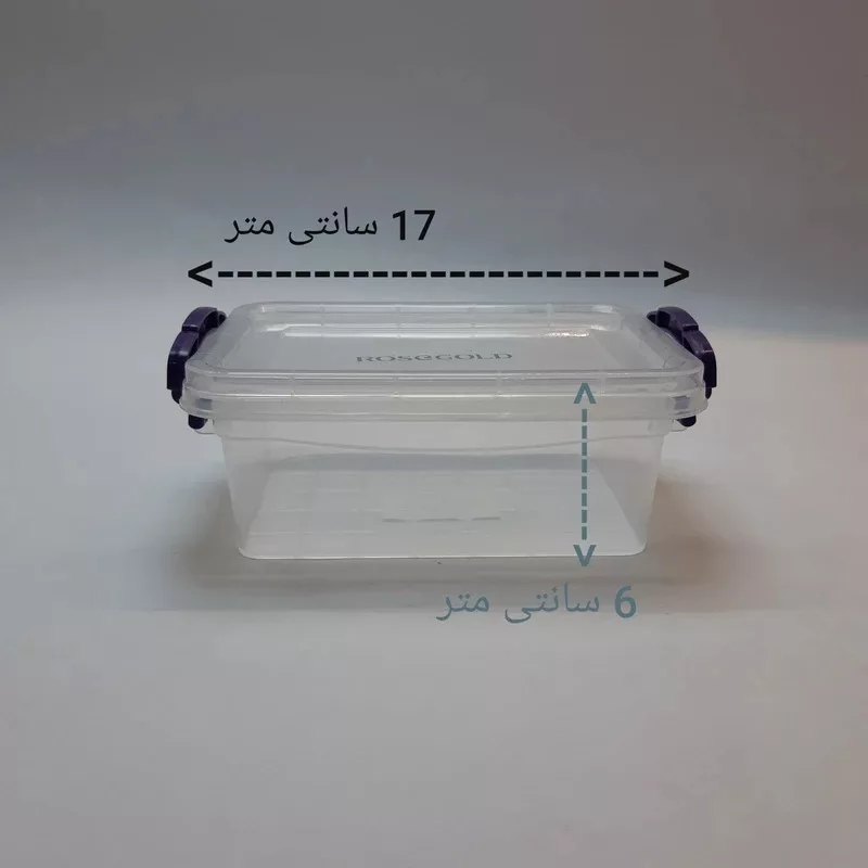 ظرف نگهدارنده رزگلد مدل فریزری قفلی 2 بسته 2 عددی