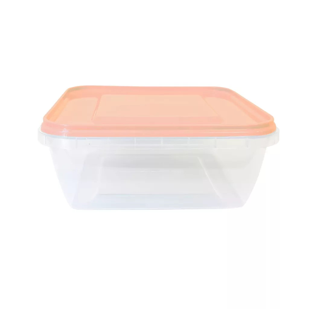 ظرف نگهدارنده مدل 800 کلیز هوم