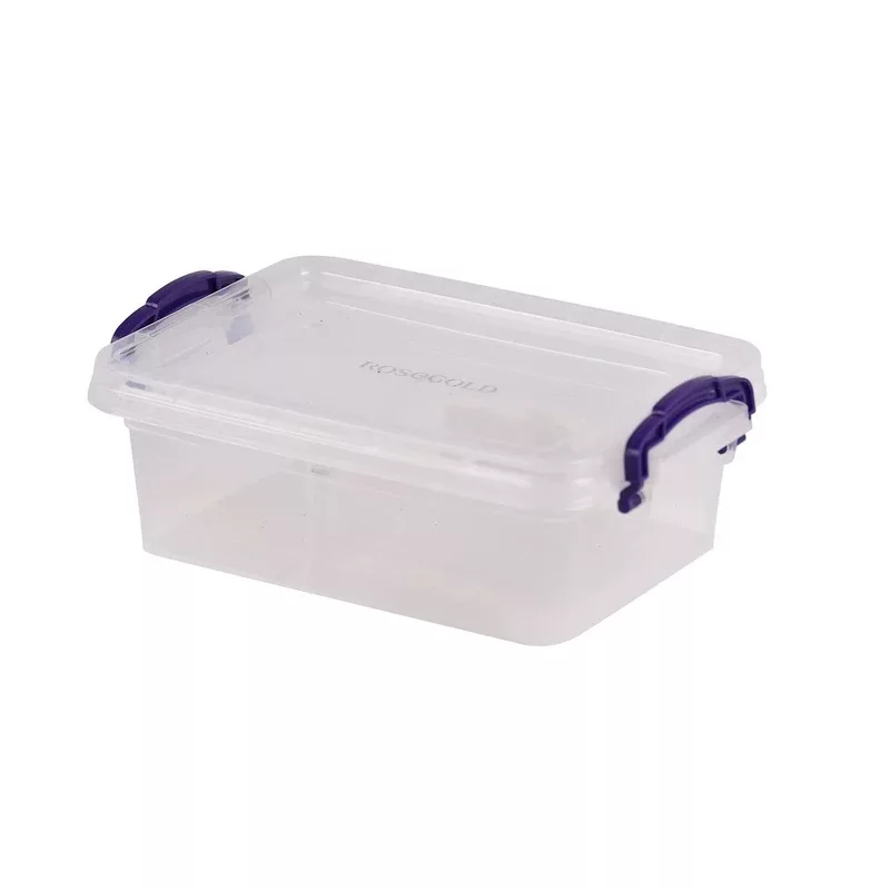 ظرف نگهدارنده رزگلد مدل فریزری قفلی 3 بسته 6 عددی