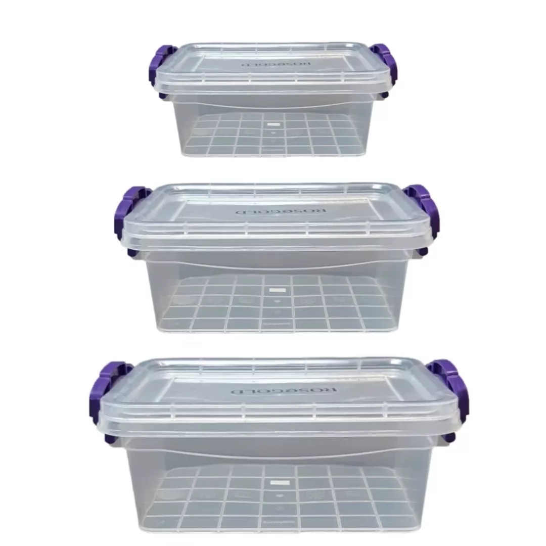 ظرف نگهدارنده رزگلد مدل فریزری قفلی 1 و 2 و 3 بسته 3 عددی