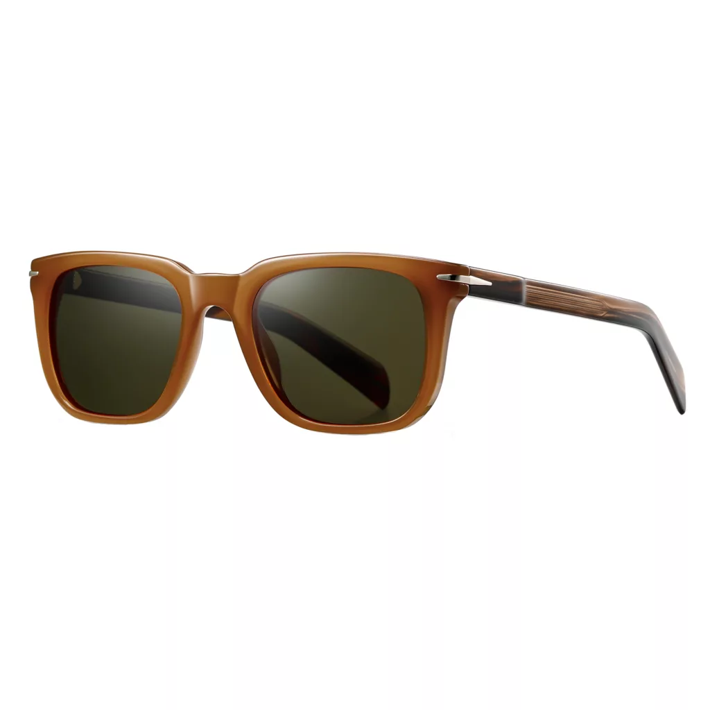 عینک آفتابی ویفرر (Wayfarer) آلبرت وگ مدل S31127C5 Acetate Avantgarde Visionary