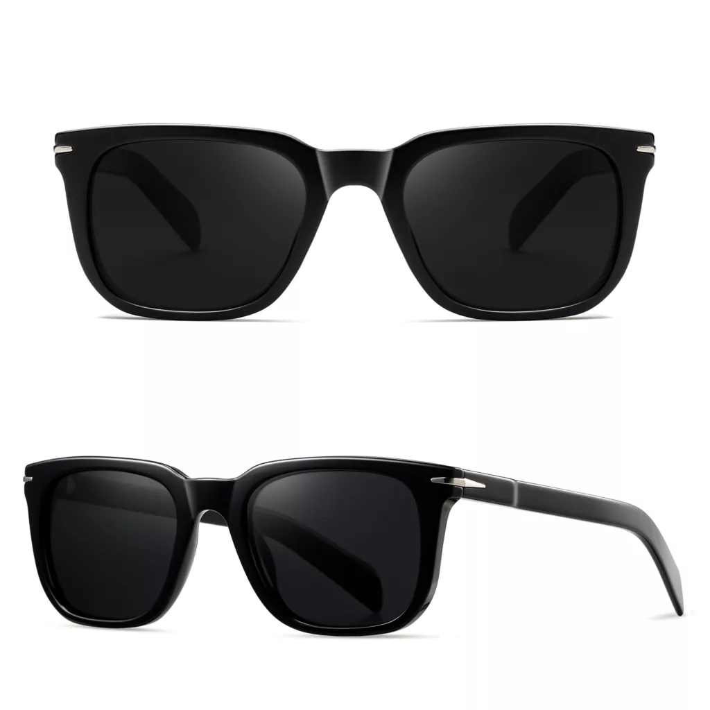 عینک آفتابی ویفرر (Wayfarer) آلبرت وگ مدل S31127C1 Acetate Avantgarde Visionary