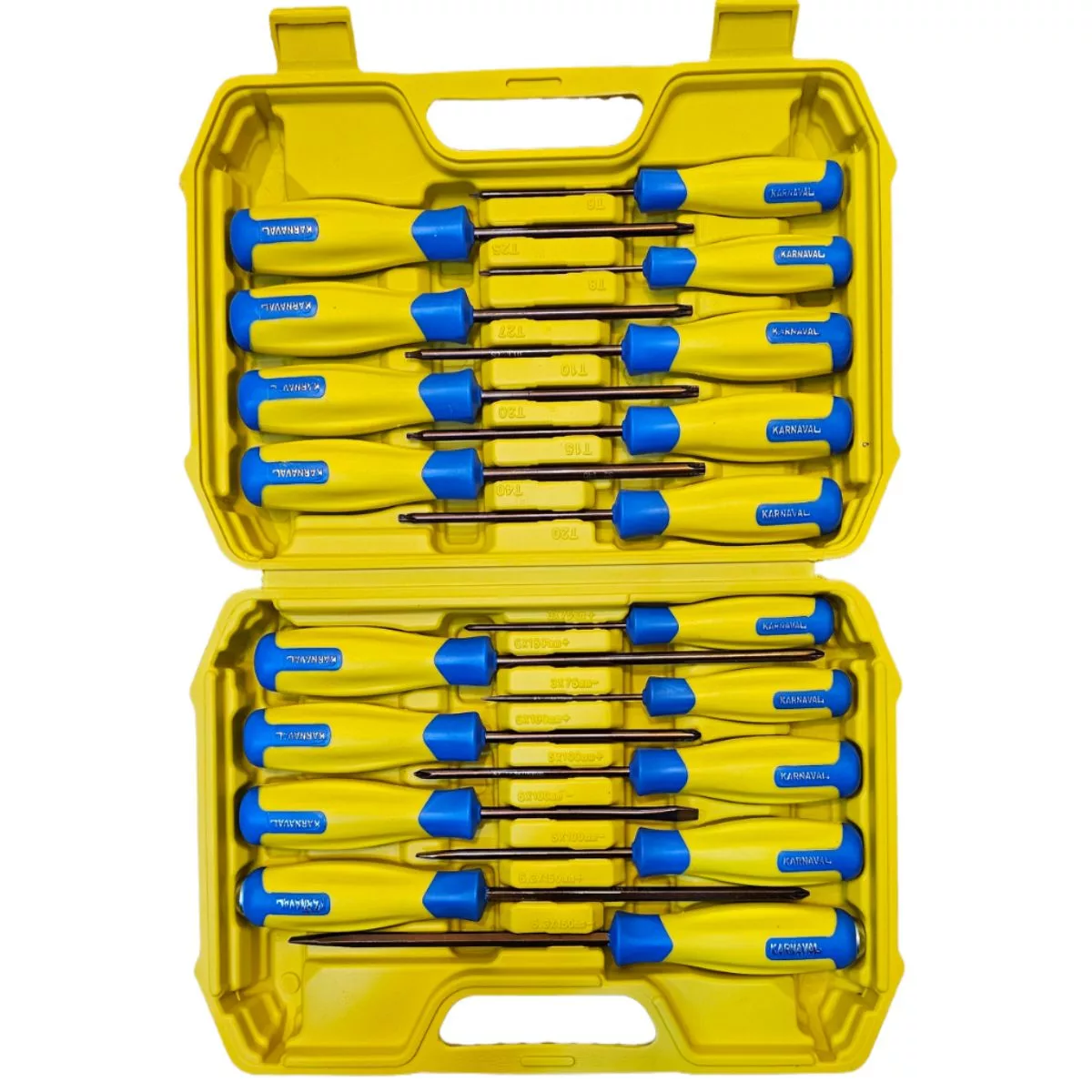 پیچ گوشتی كارناوال مدل 1881 بسته 18 عددی