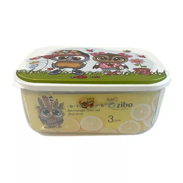 ظرف نگهدارنده زیبا مدل مستطیلی بزرگ کد 1 مجموعه 3 عددی