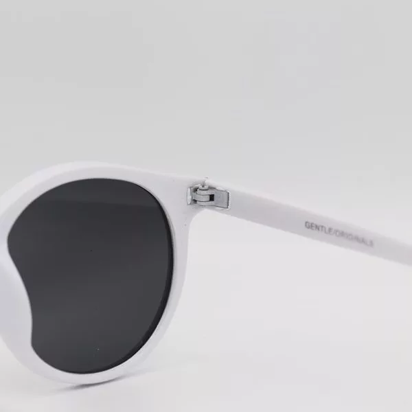 عینک آفتابی مدل Z3289 - Fs