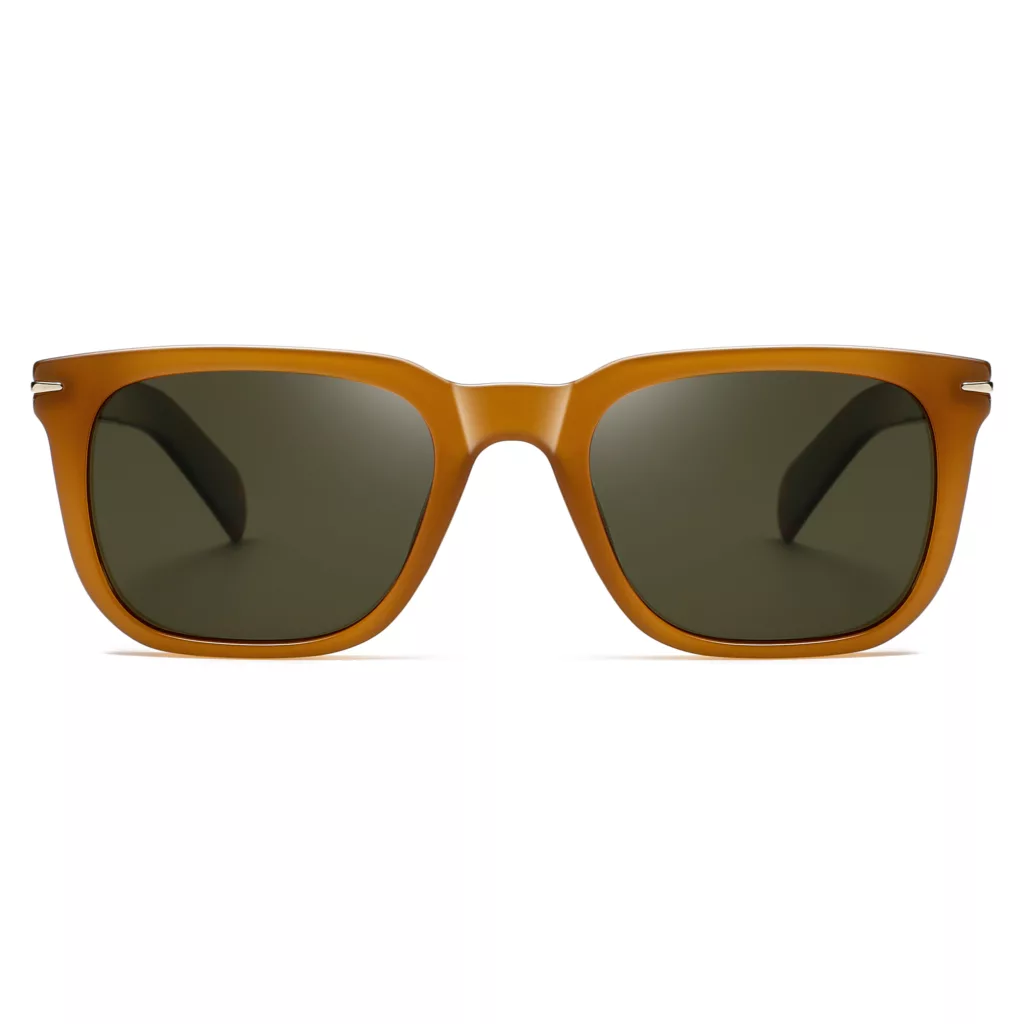 عینک آفتابی ویفرر (Wayfarer) آلبرت وگ مدل S31127C5 Acetate Avantgarde Visionary