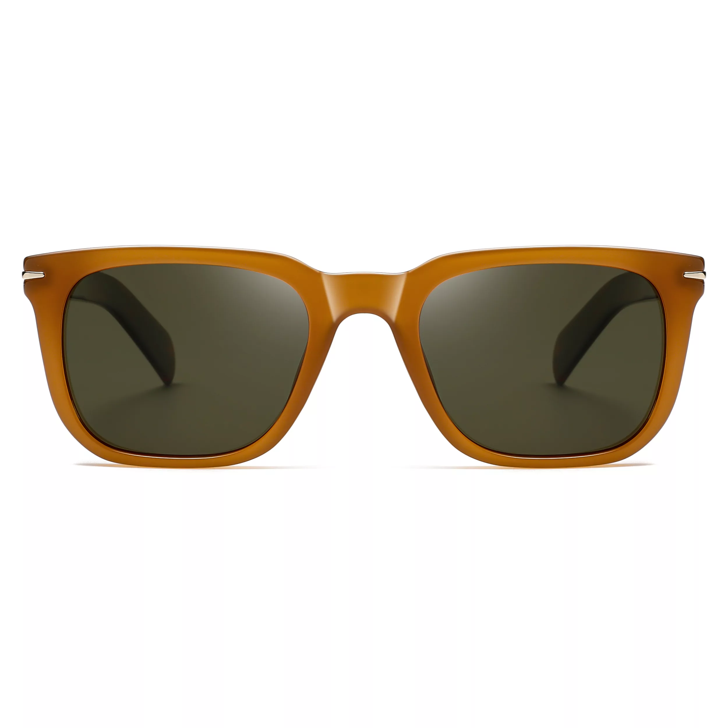 عینک آفتابی ویفرر (Wayfarer) آلبرت وگ مدل S31127C5 Acetate Avantgarde Visionary