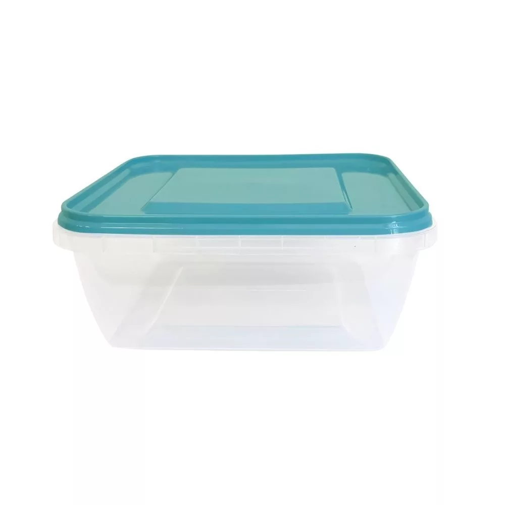 ظرف نگهدارنده مدل 800 کلیز هوم