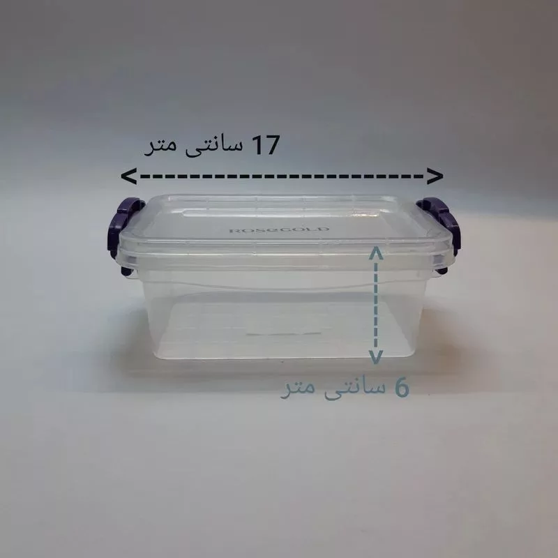 ظرف نگهدارنده رزگلد مدل فریزری قفلی 2 بسته 12 عددی