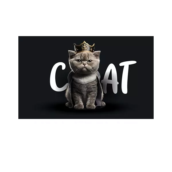 پادری طرح حیوانات کد M35M001-MA0001 سایز 76×46 سانتی متر