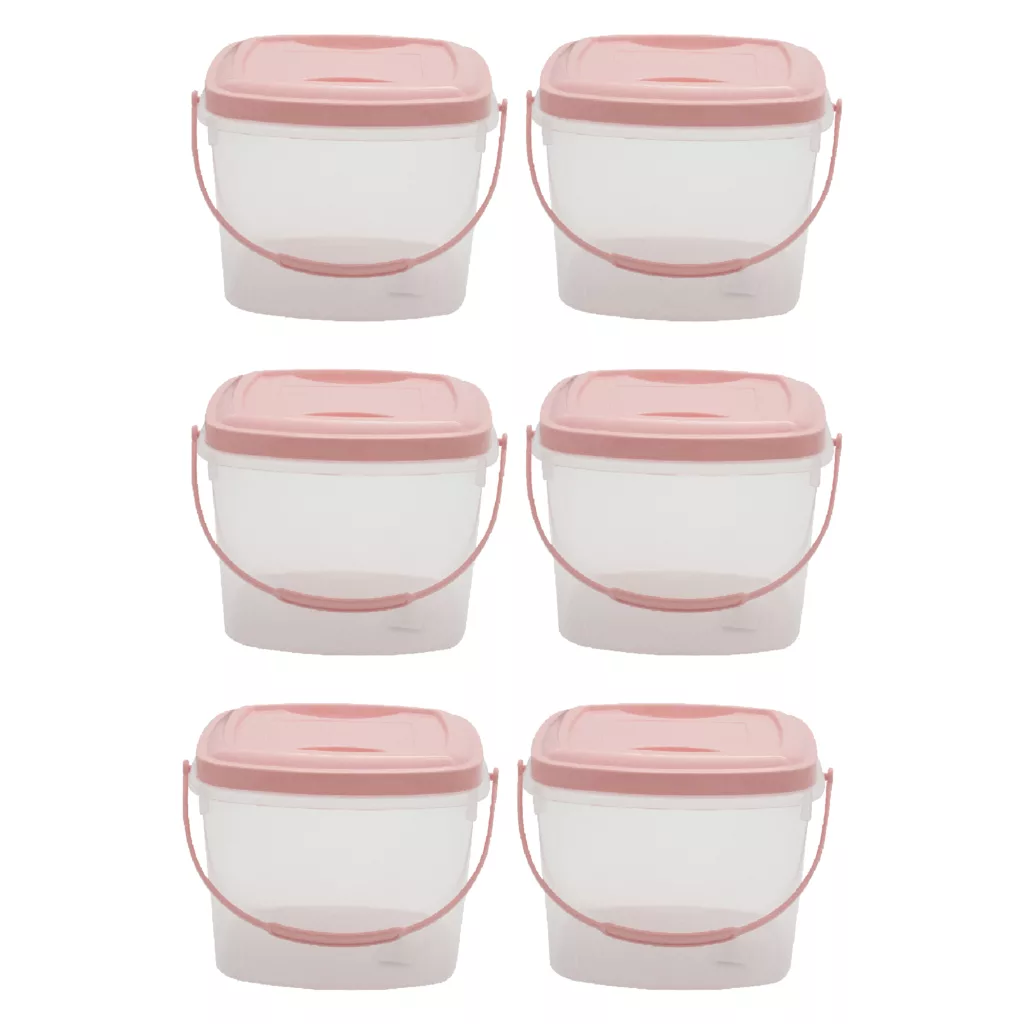 ظرف غذا اشکان مدل دلسا مجموعه 6 عددی