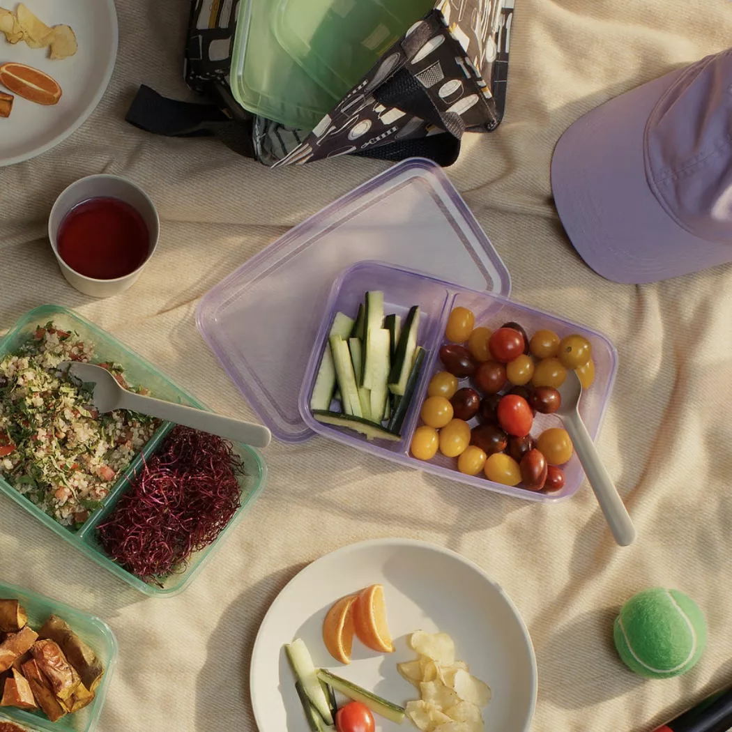 ظرف نگهدارنده ایکیا مدل pruta مجموعه 2 عددی