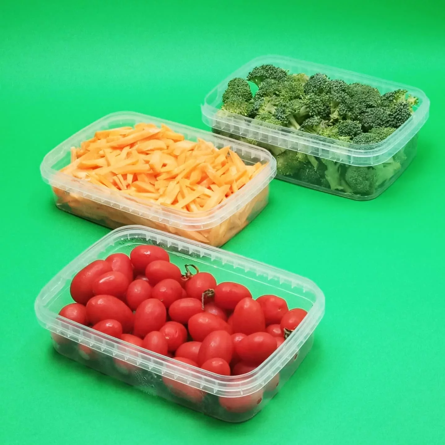 ظرف نگهدارنده پولاد پویش مدل فریزری کد 102 مجموعه 30 عددی