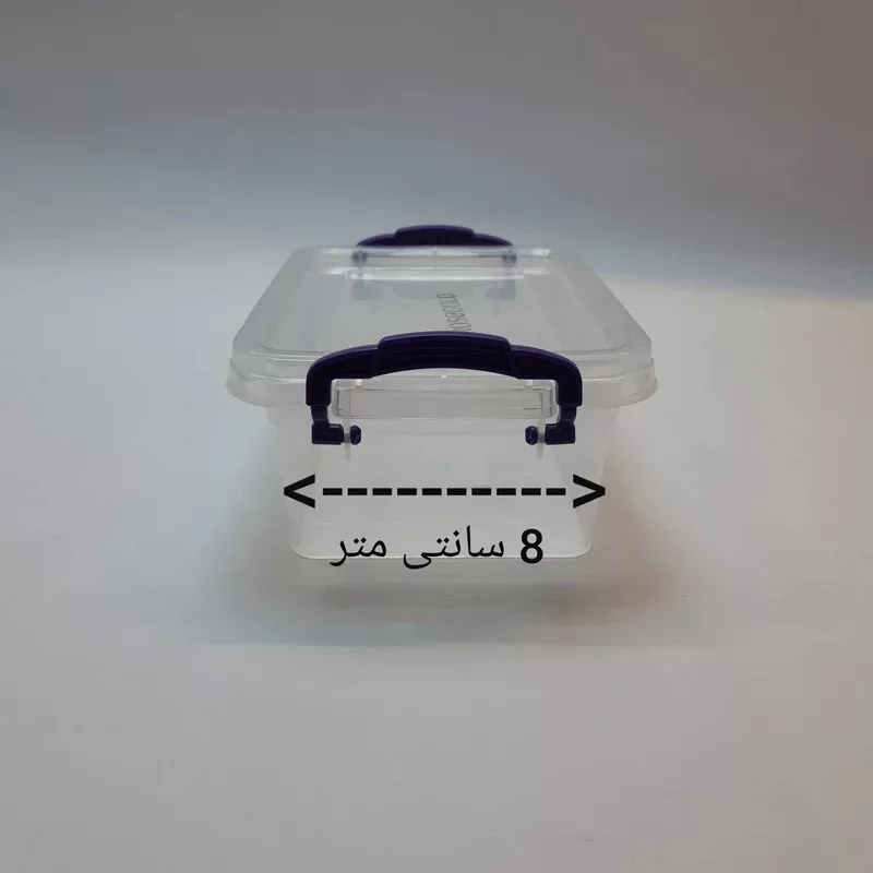 ظرف نگهدارنده رزگلد مدل فریزری قفلی 1 بسته 2 عددی