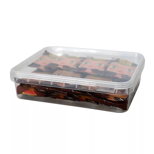 ظرف نگهدارنده مدل ea کد 666