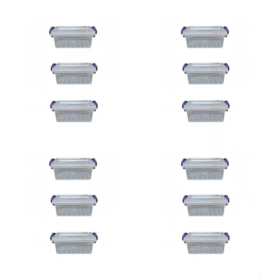ظرف نگهدارنده رزگلد مدل فریزری قفلی 2 بسته 12 عددی
