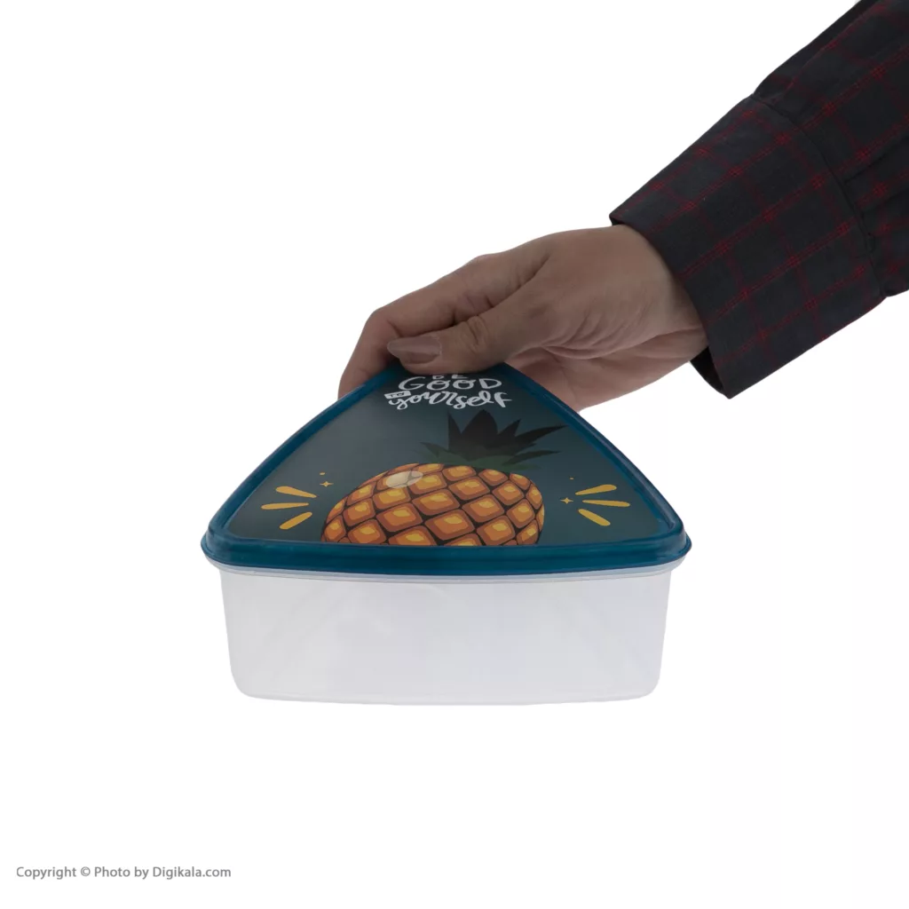 ظرف نگهدارنده فرش کیپس مدل آناناس بسته 3 عددی