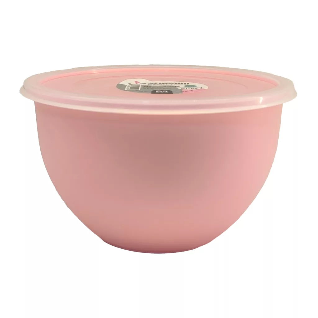 ظرف نگهدارنده آریسام مدل D 5