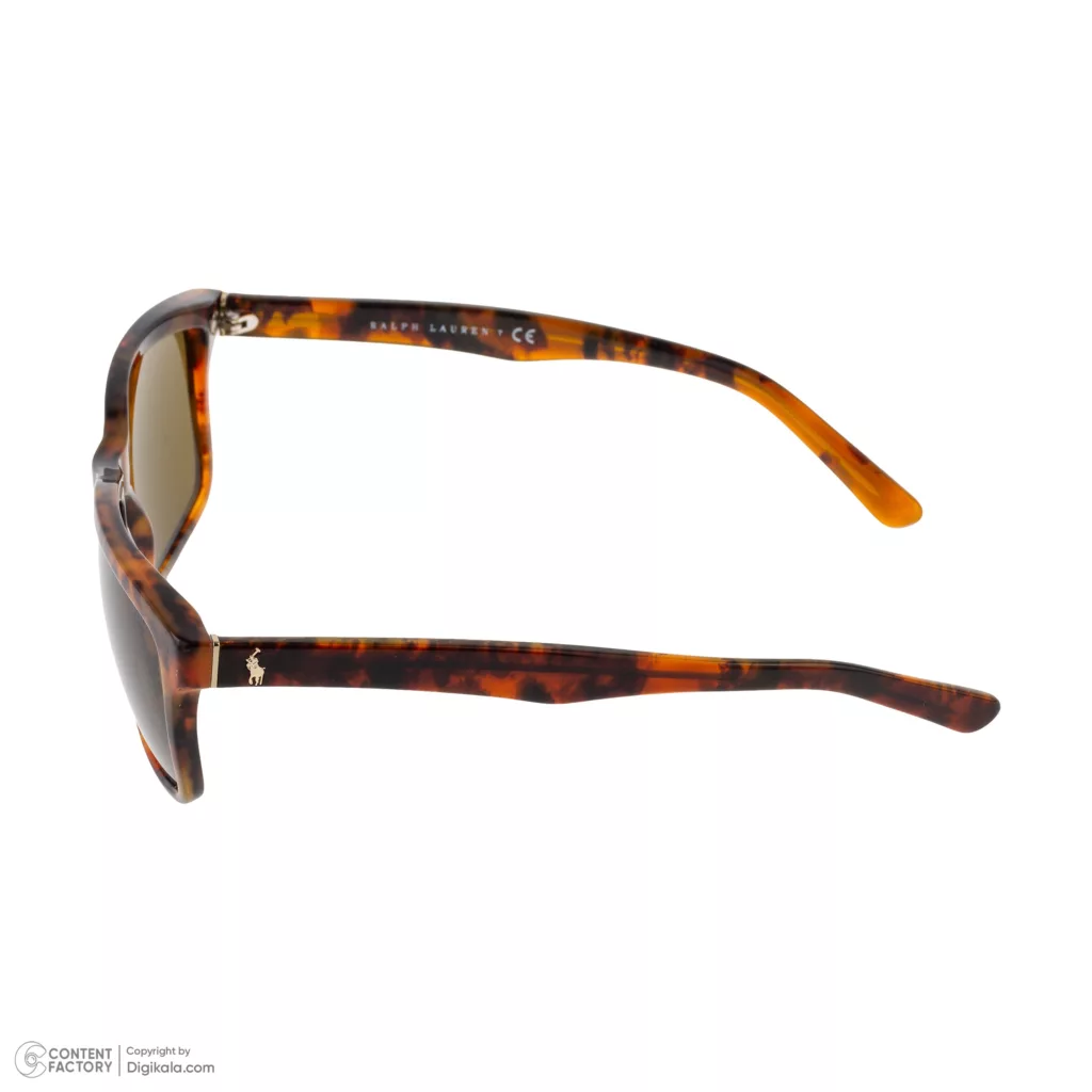 عینک آفتابی ویفرر (Wayfarer) پولو مدل 0PH4098-501773