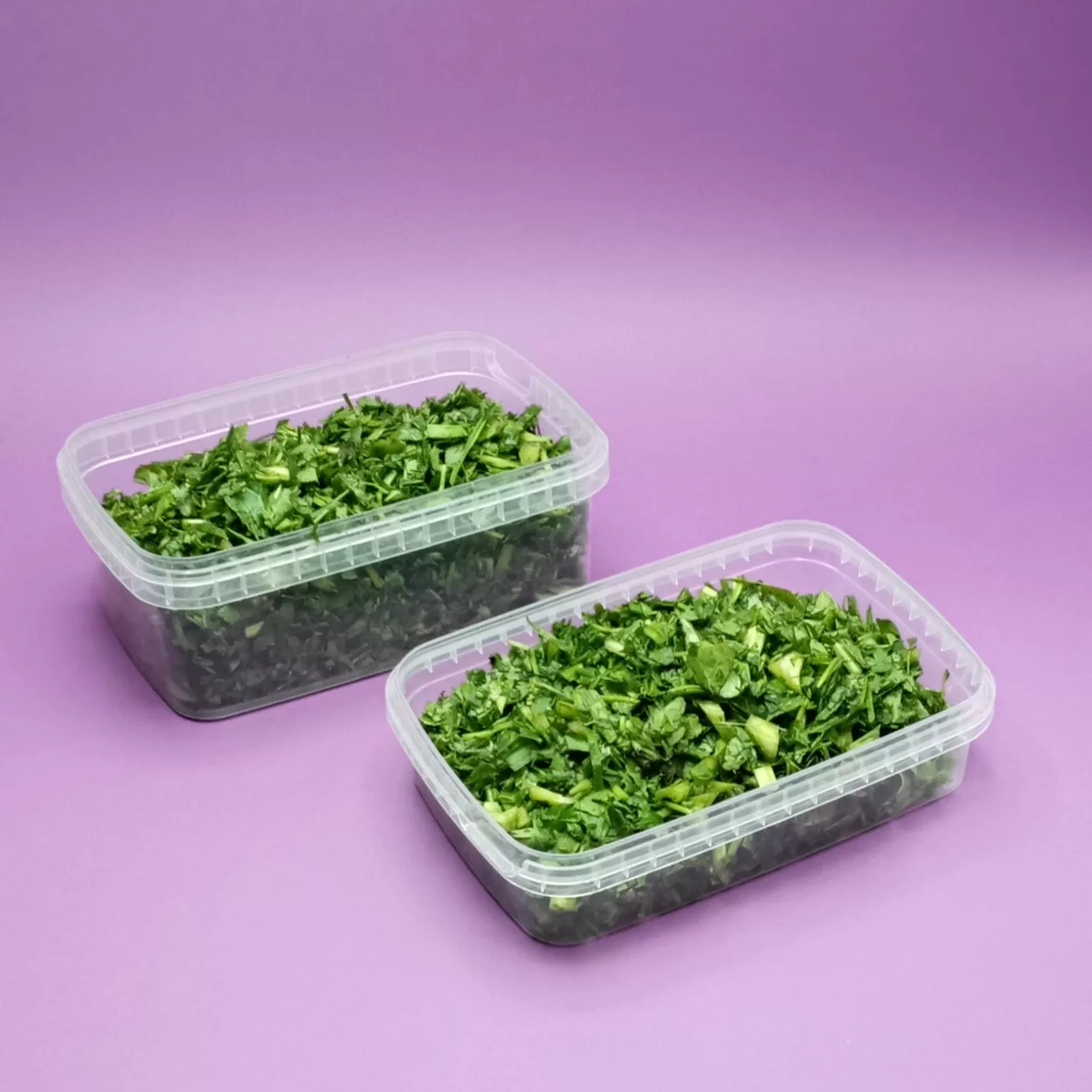 ظرف نگهدارنده پولاد پویش مدل فریزری کد 102 مجموعه 30 عددی