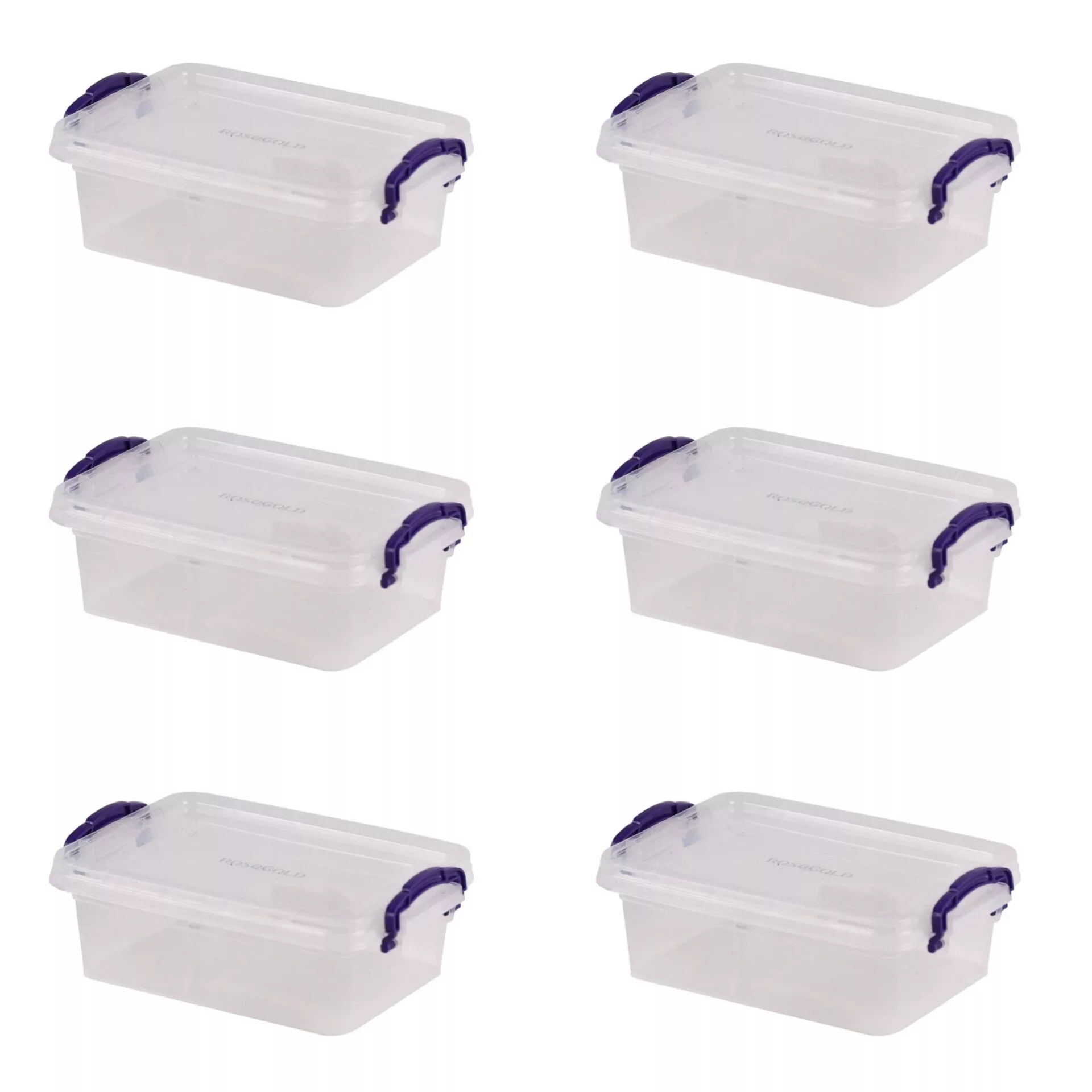 ظرف نگهدارنده رزگلد مدل فریزری قفلی 3 بسته 6 عددی