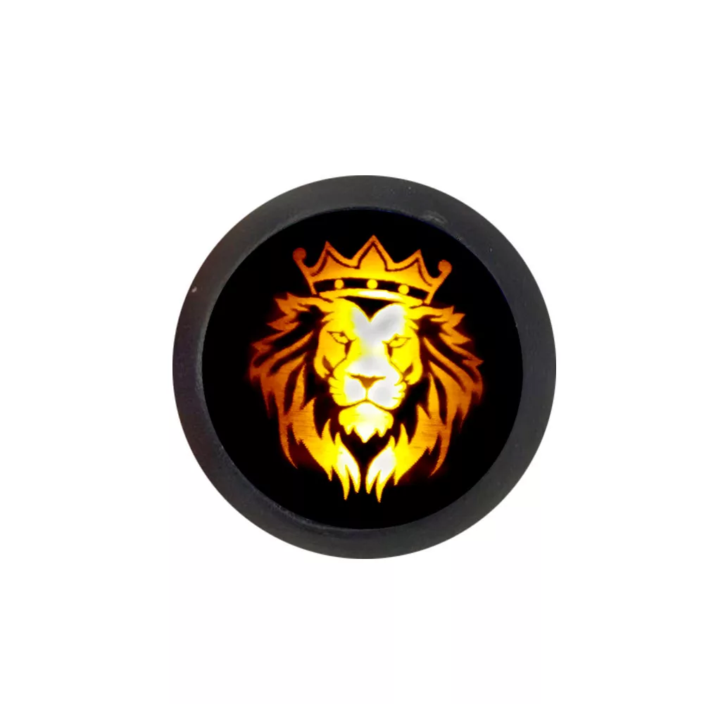 سردنده مدل LION SH O1 مناسب برای پژو پارس